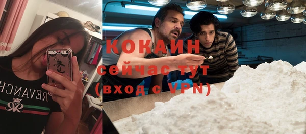 таблы Богданович