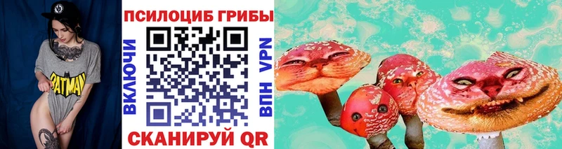 гидра зеркало  Артём  Псилоцибиновые грибы Magic Shrooms 